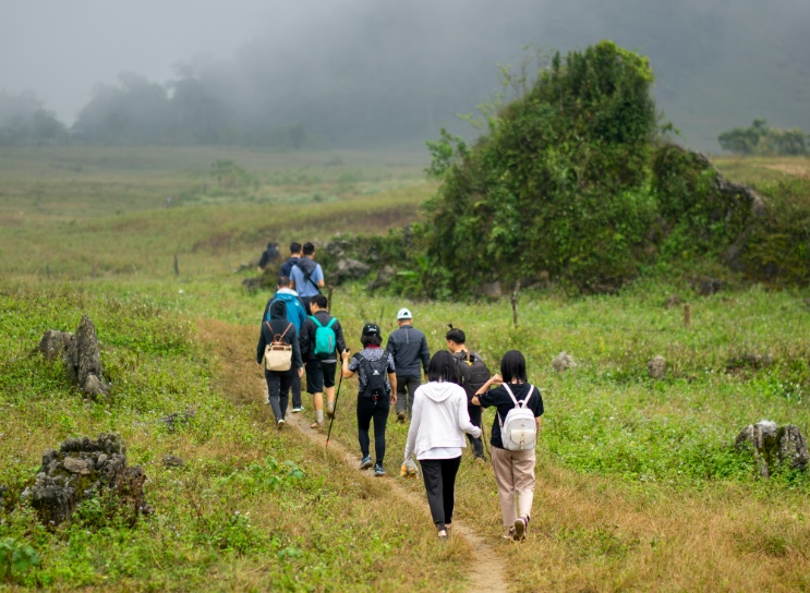trek nửa