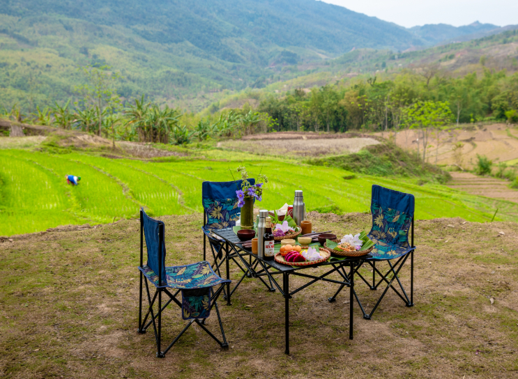 picnic 1