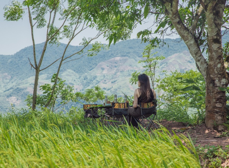 picnic